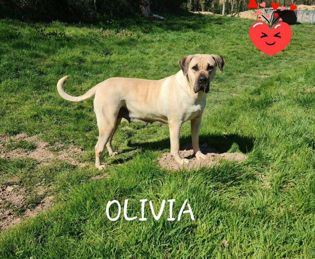 Publication : du hameau de fontenay 