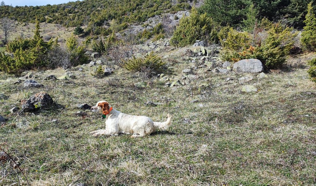 Publication : du mas des Vernets Auteur : Lafont Johan