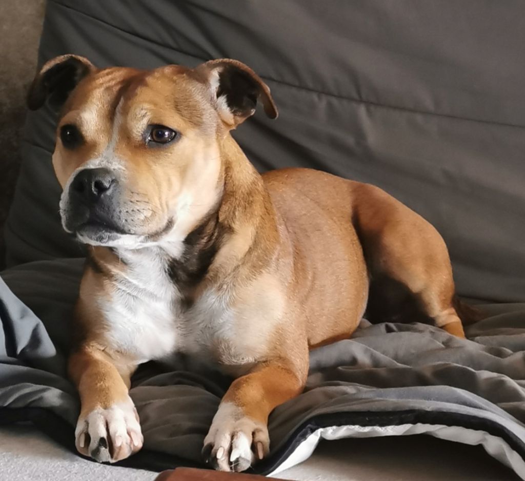 Publication : Du Domaine Eternel 