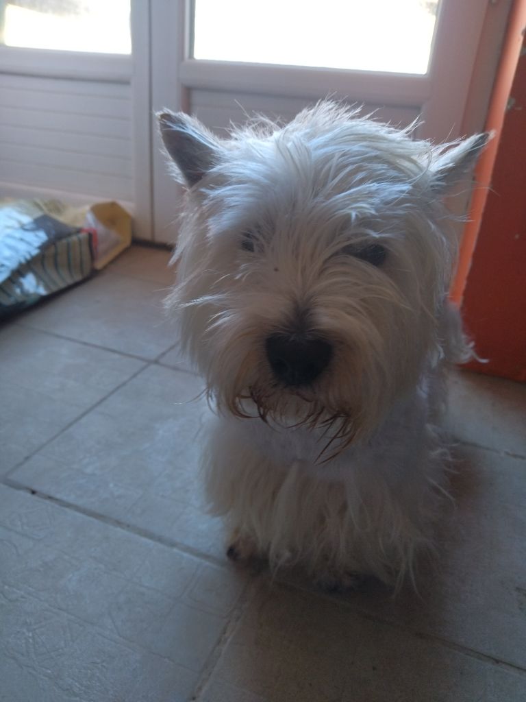 Publication : La Seigneurie Du Domaine D'Eole