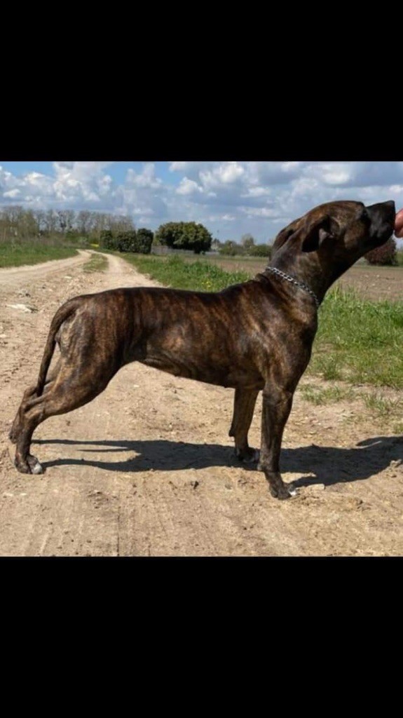 Publication : des terres indiennes