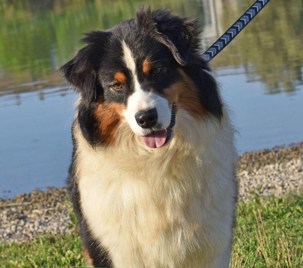 Publication : of leedyl