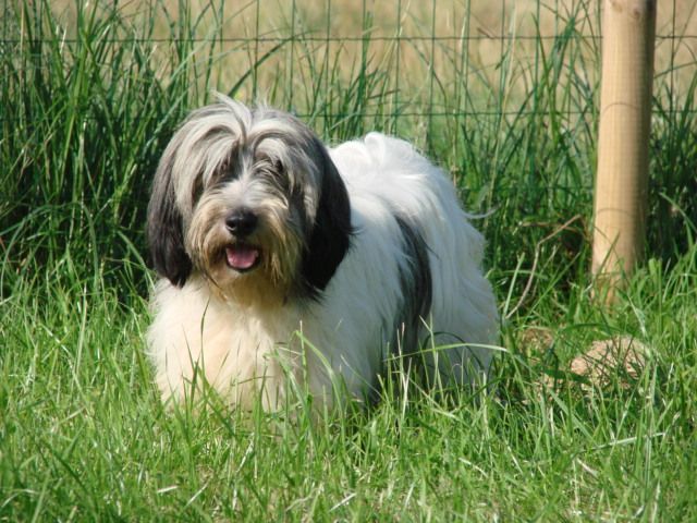 Publication : du mont de la chenaie 