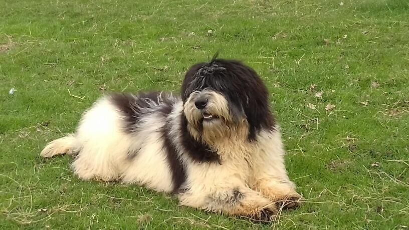 Publication : du mont de la chenaie 