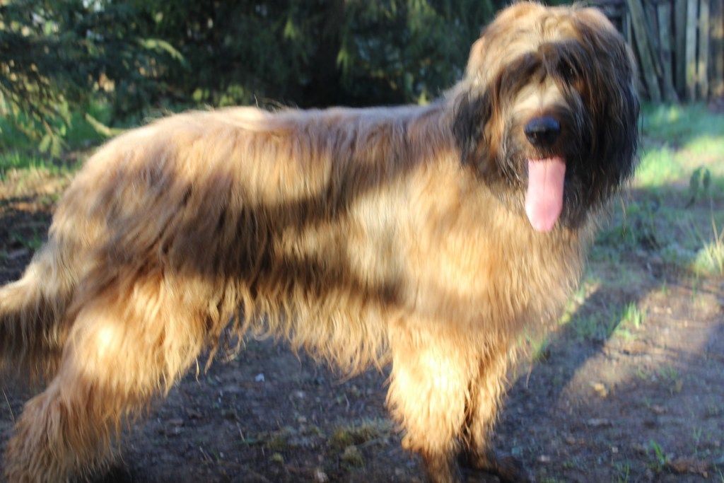 Publication : des champs du puy 