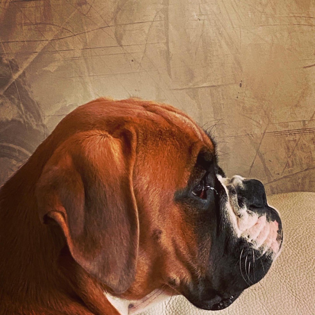 Publication : De La Croix Du Capitole 