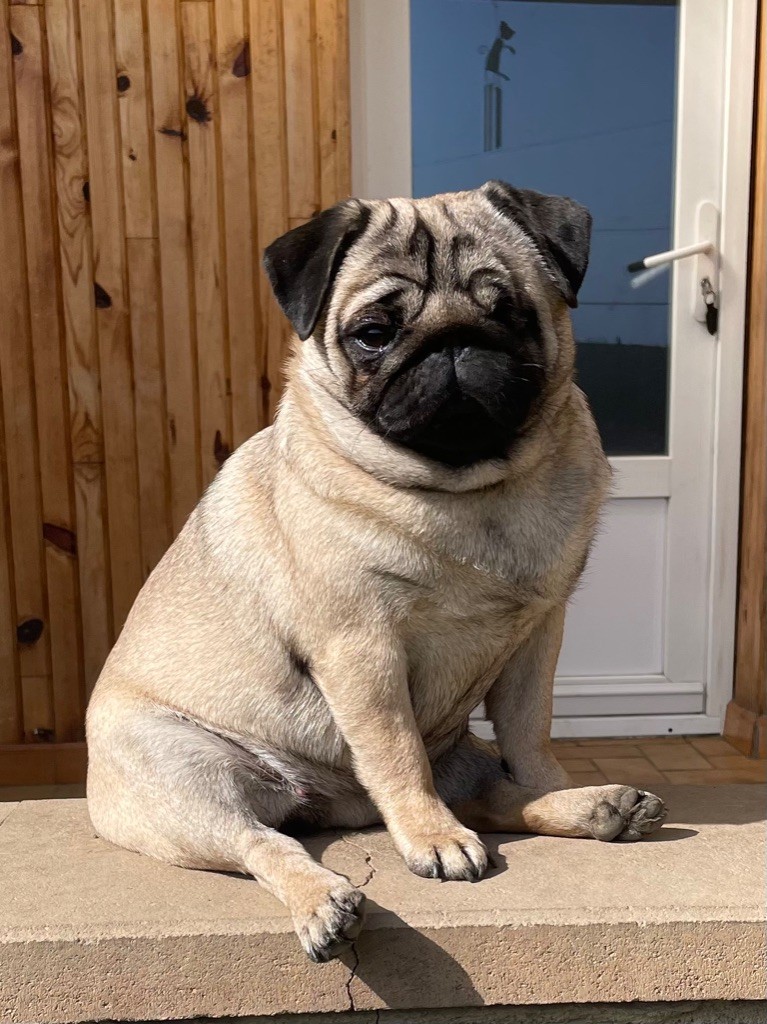 Publication : des Anges d'Héra 