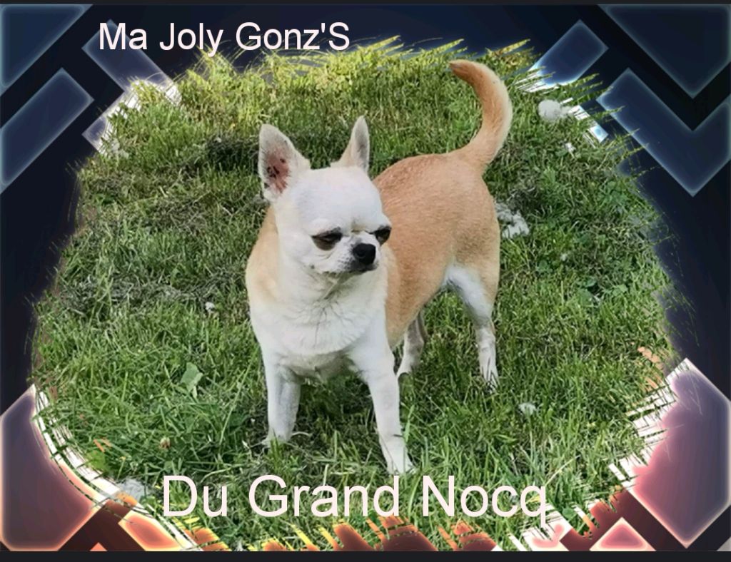 Ma joly gonz ' s Du Grand Nocq
