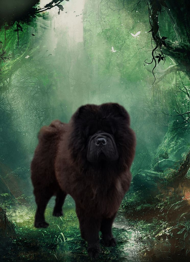 Publication : Le domaine de fabadel