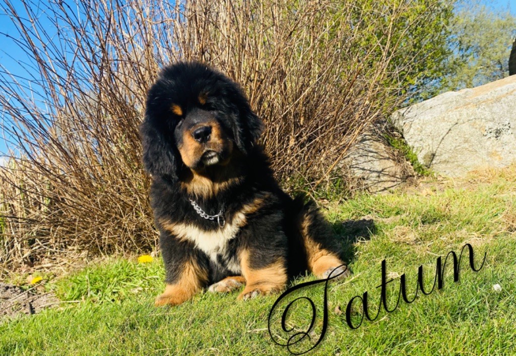 Publication : de l'Empire des Hellls 