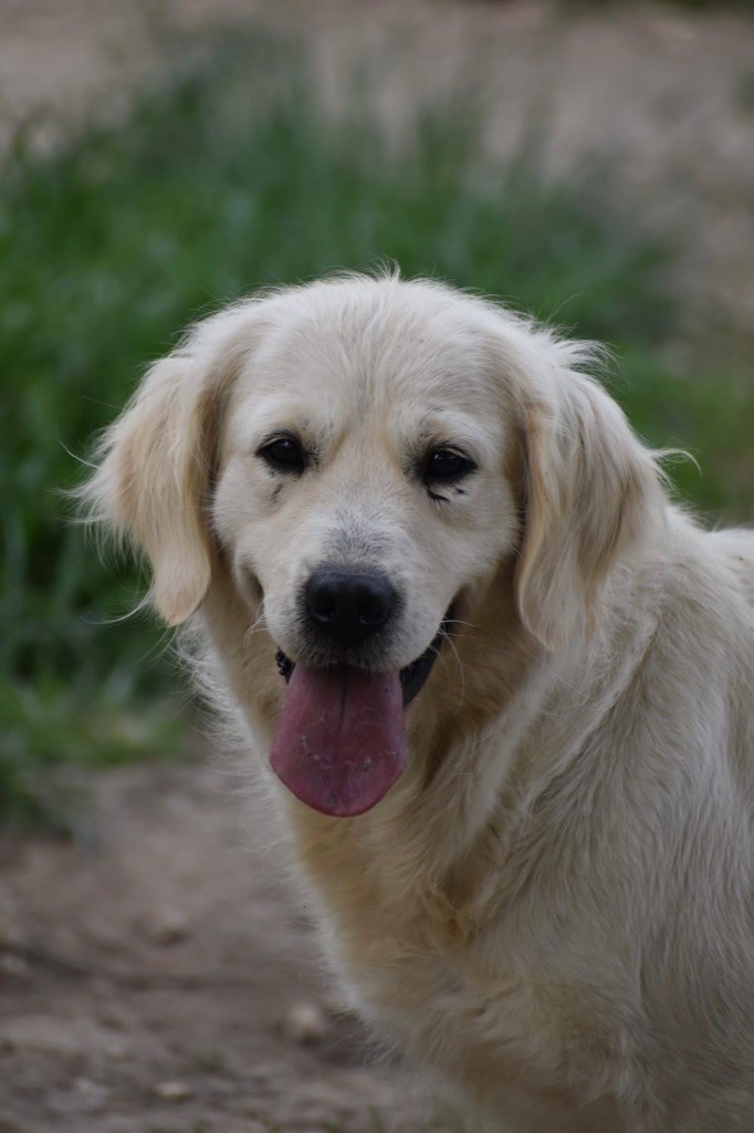 Publication : (Sans Affixe) 