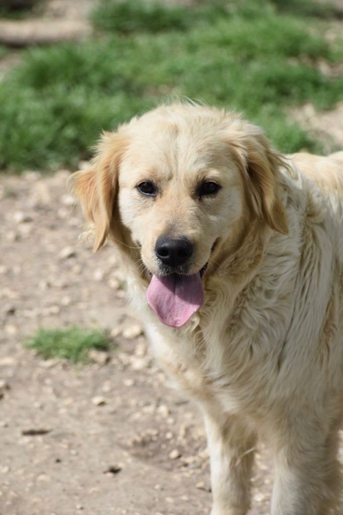 Publication : de la Vallée de Saint Samson 