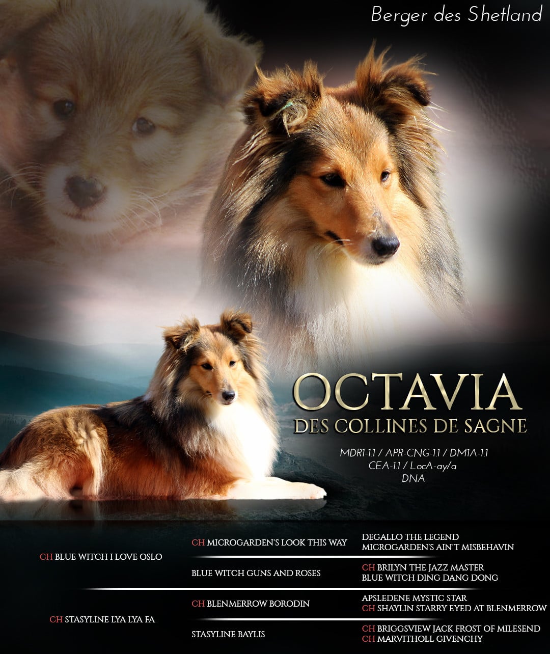 Publication : de Kertanhyys Auteur : Pathyvel photographies