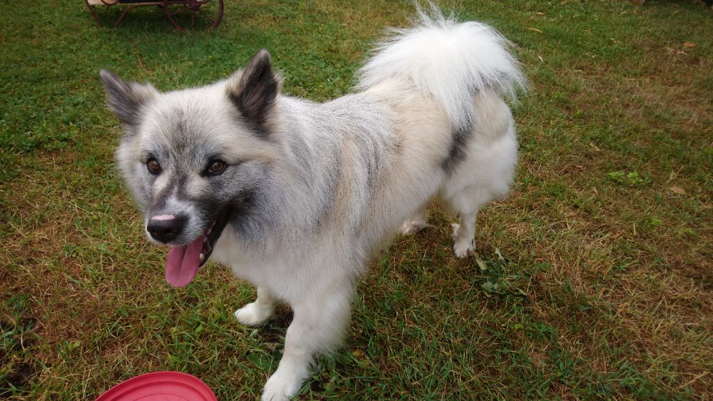 Publication : (Sans Affixe) Auteur : JEAN-MICHEL PERIVIER