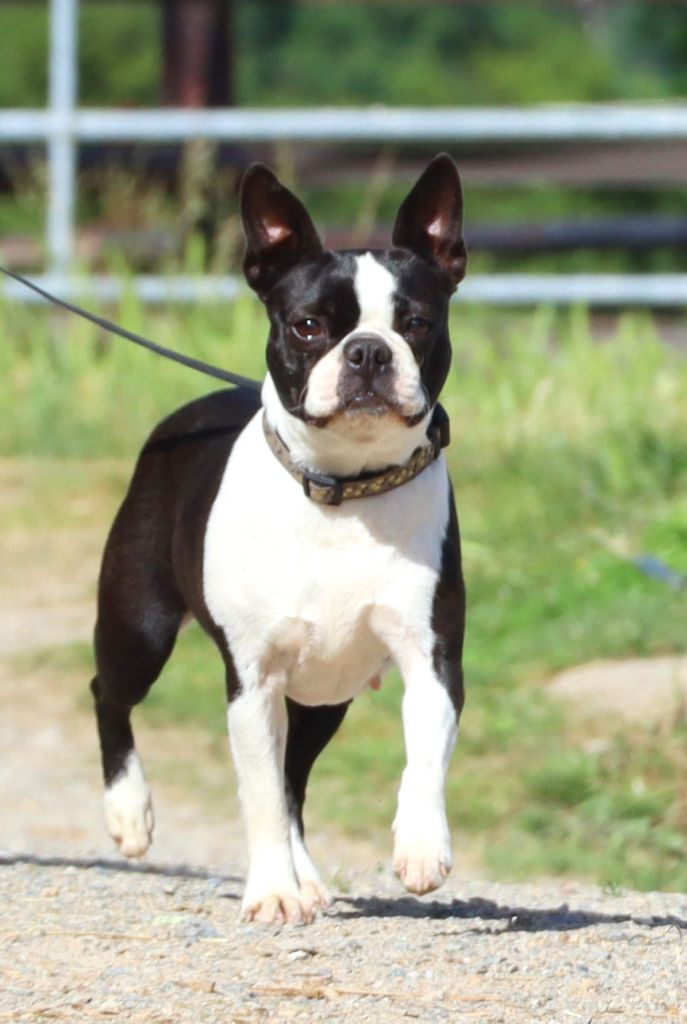 Publication : De La Grange Enchantée Auteur : Chez Valérie en Mayenne