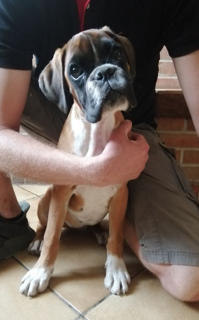 Publication : Von Narkos 