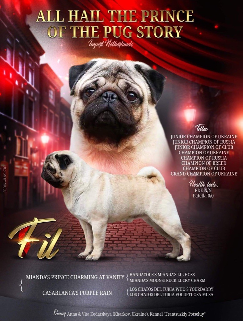 CH. All hail the prince of the pugs story