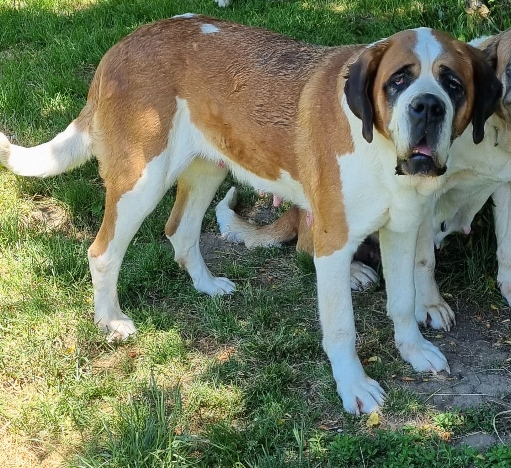 Publication : Du Missy's Ranch 