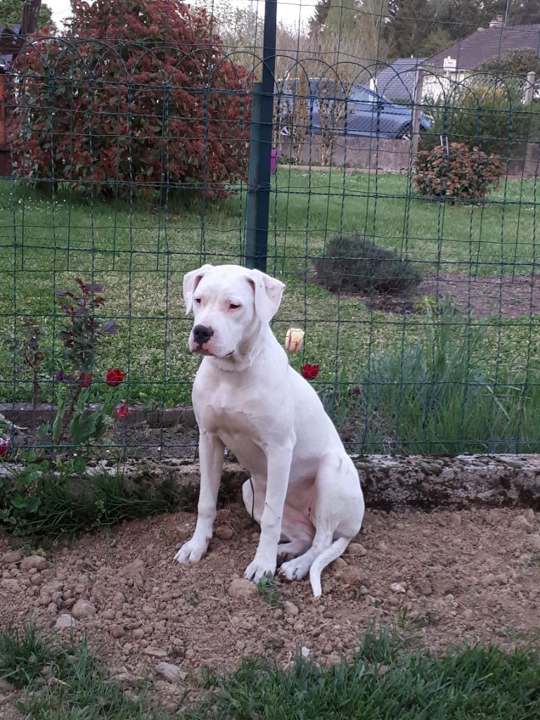 Publication : Des Gardiens De La Galaxie