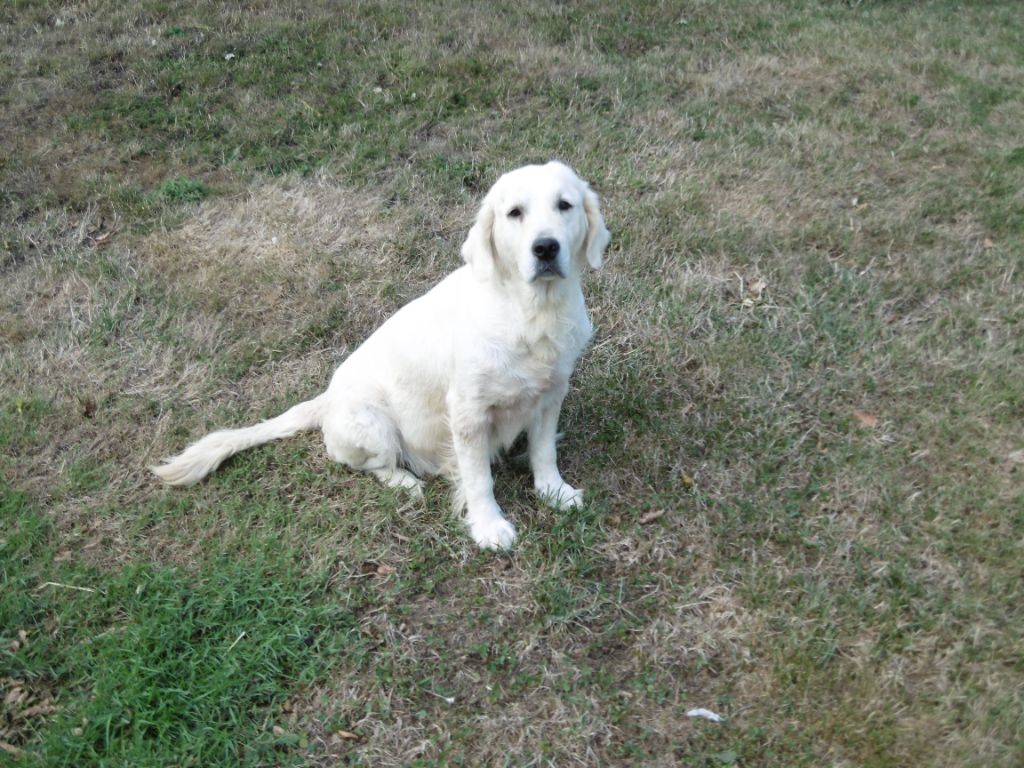 Publication : Tad koz Auteur : André PIOC