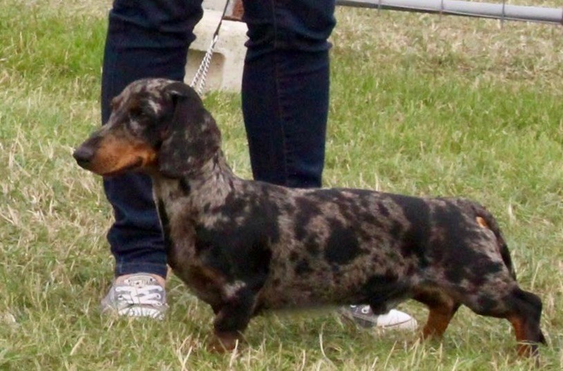 Publication : de la croix du domaine du thuis 