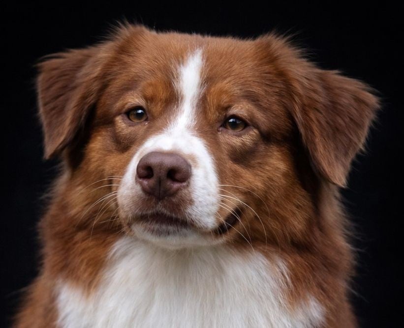 villanyda Just for the feeling