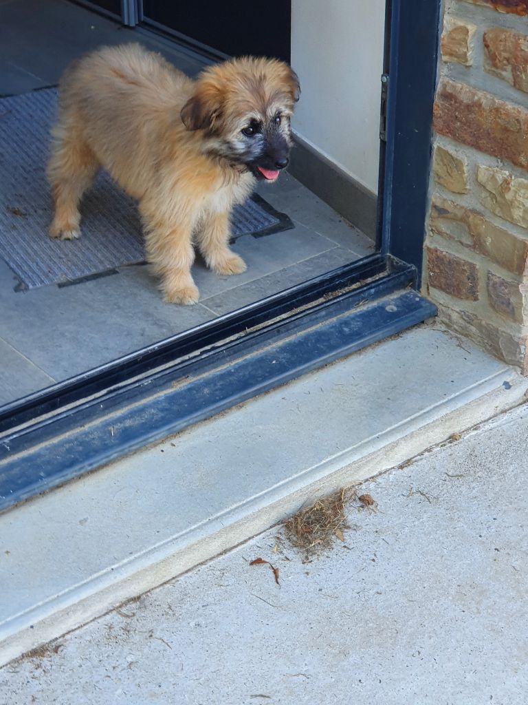 Publication : du clos des griphoss