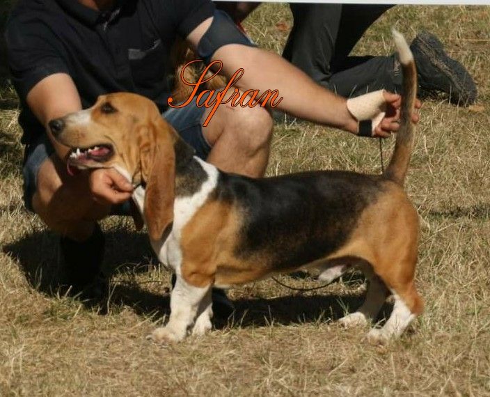 Publication : Du Domaine De Lu Ti 