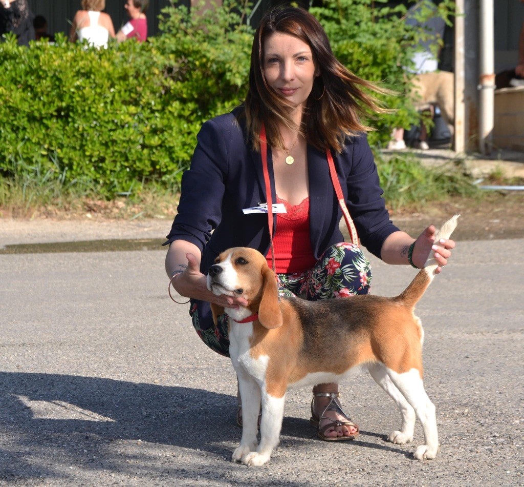 Publication : Des Chasseurs Du Temps Auteur : D.b