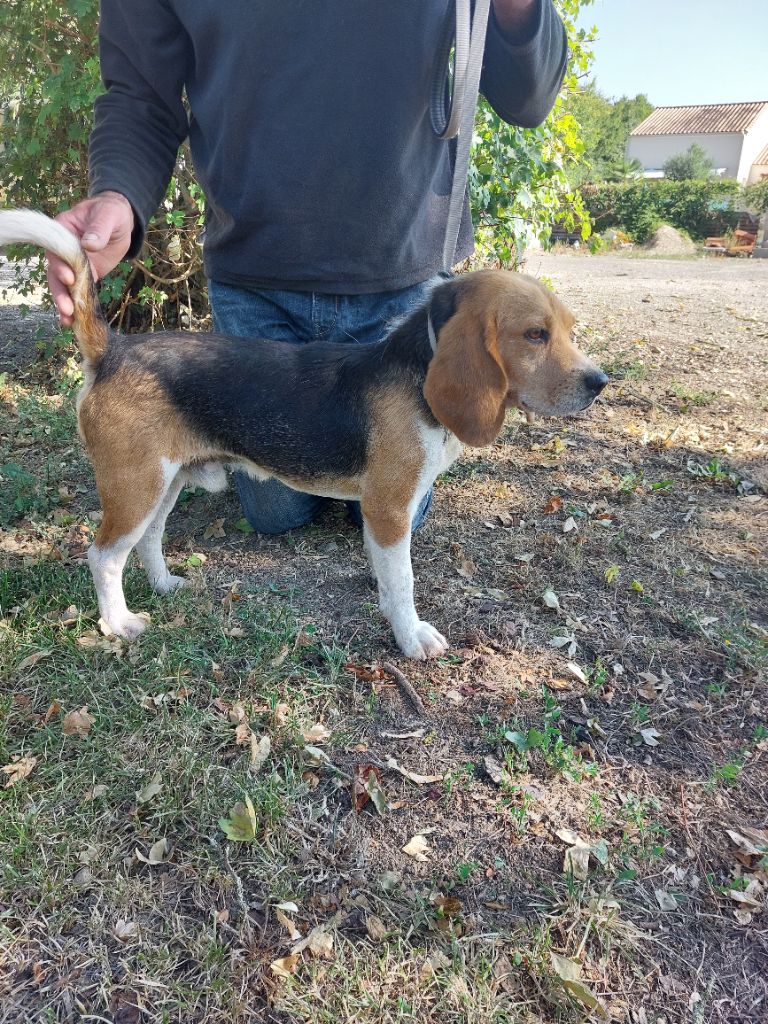 Publication : Des Echos Des Varrennes