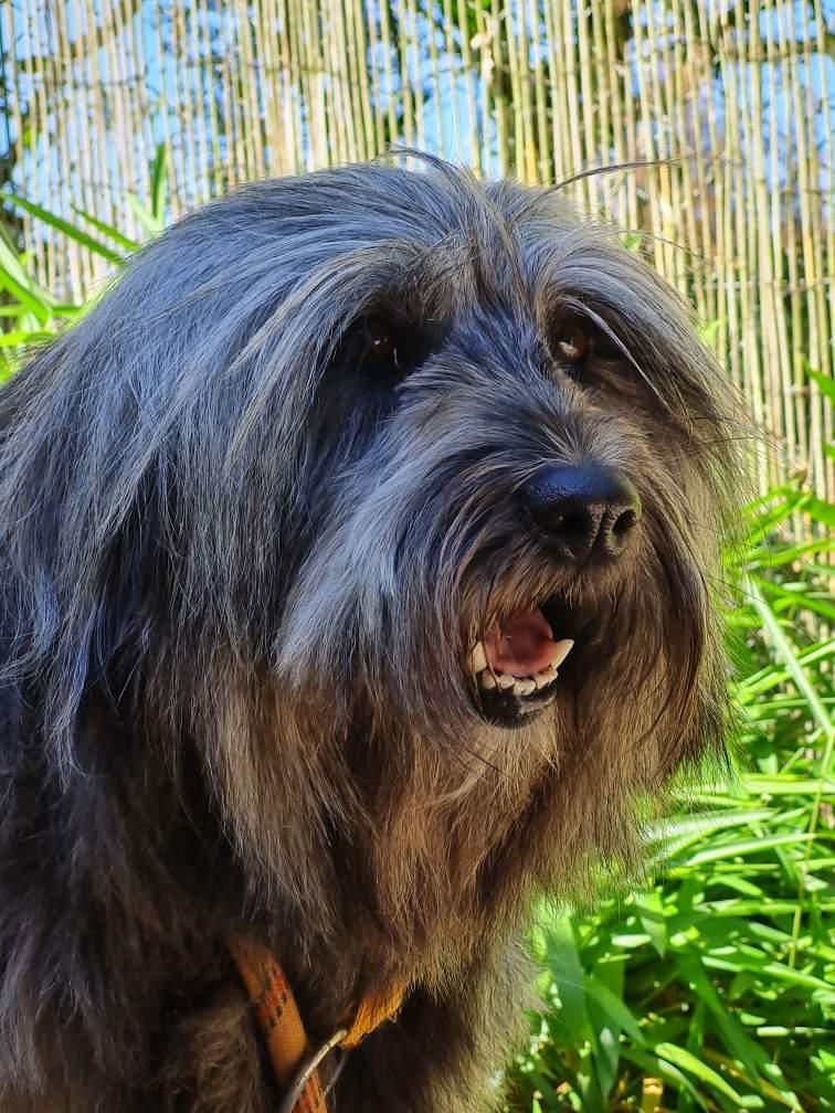 Publication : du mont de la chenaie 