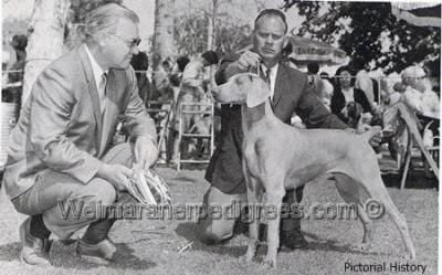 TR. CH. Redhill kam's rauchigalan of