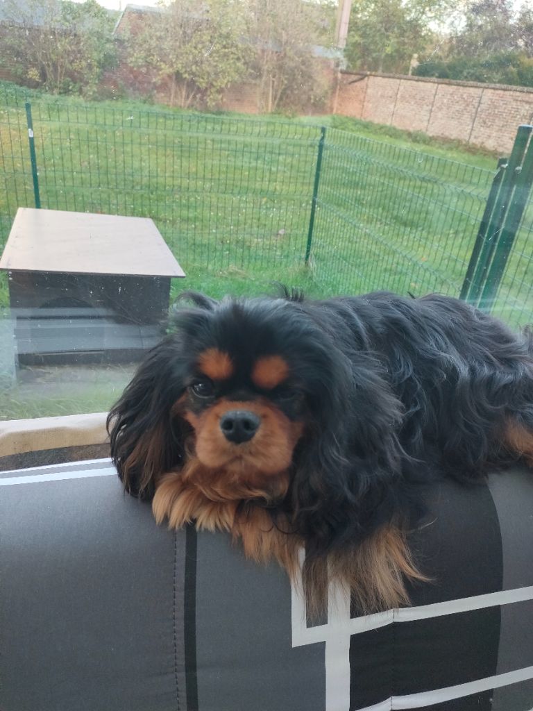 Publication : du marais du l'ingon