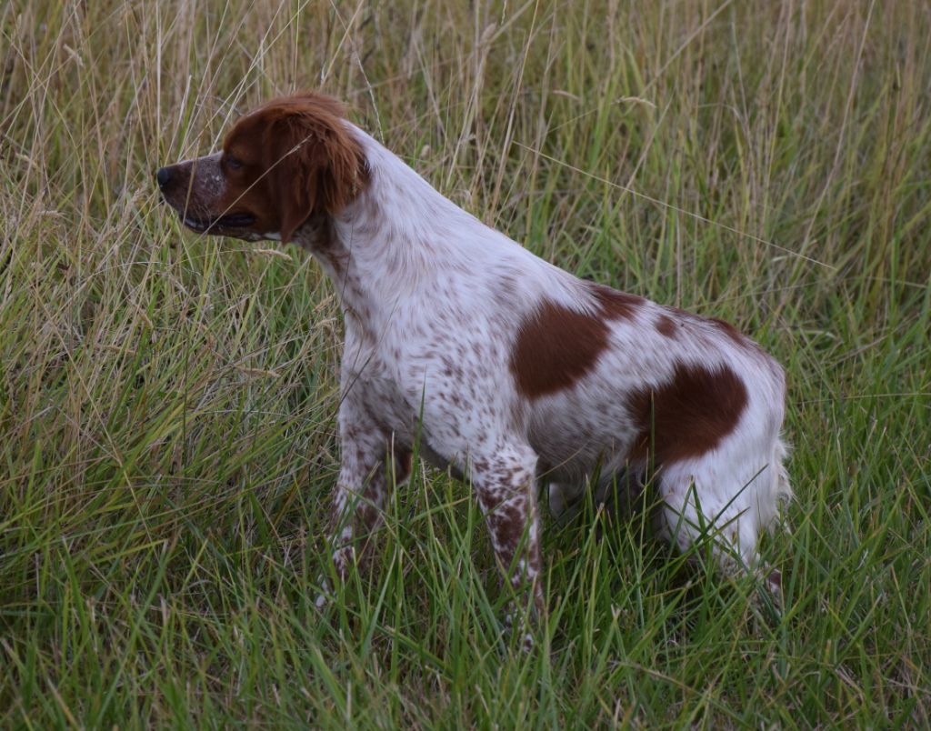 Publication : du Bois Feuraz 