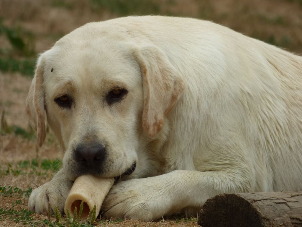 Publication : de la vallée de l'empereur