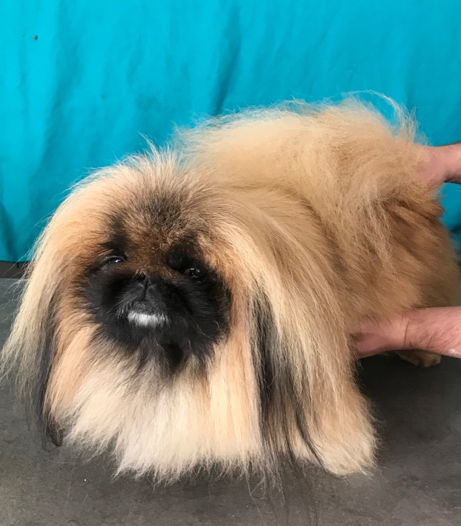 Publication : Du caillou blanc Auteur : michel caiveau