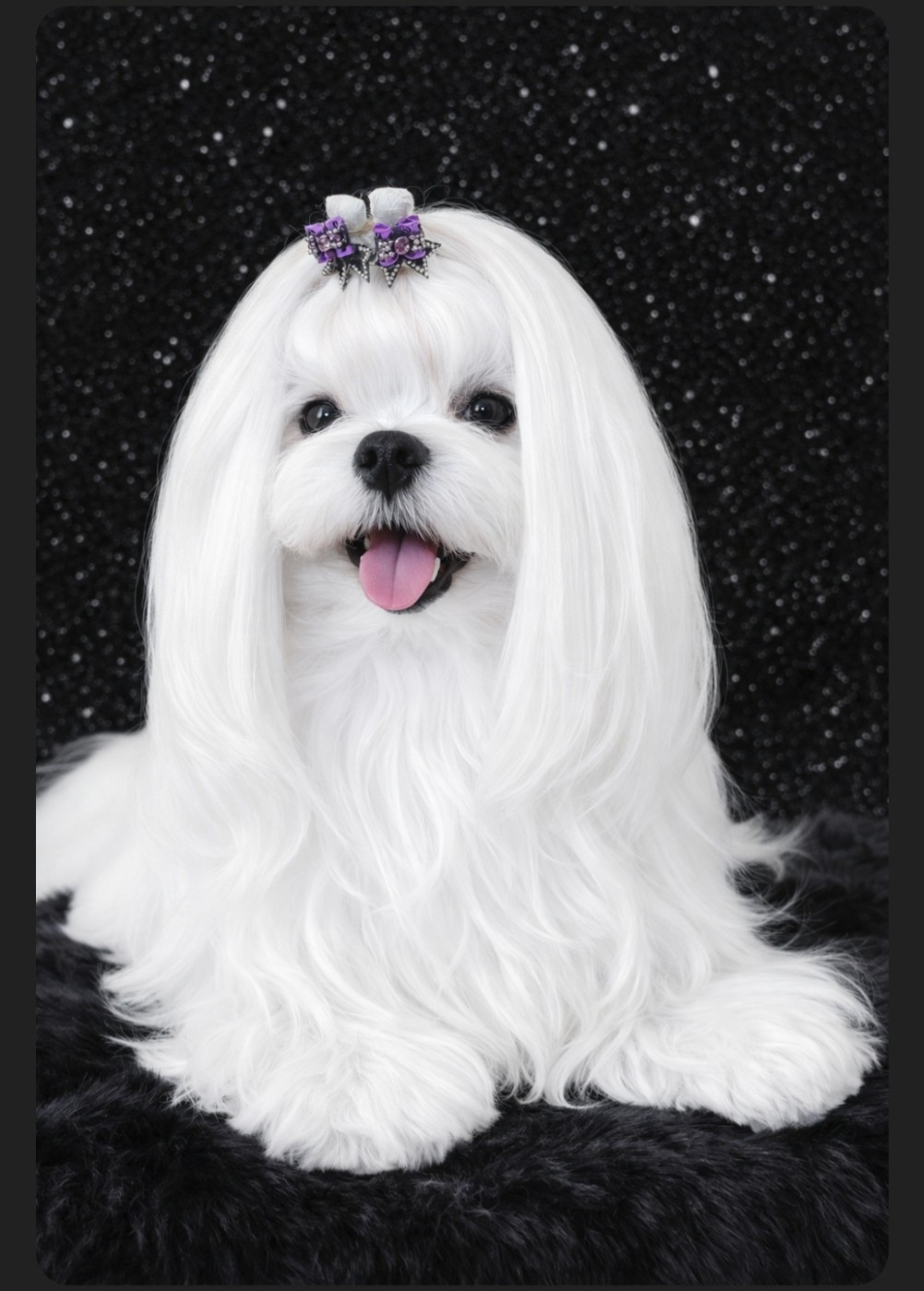 Publication : Magic White Illusion Auteur : CHARVOT Karine