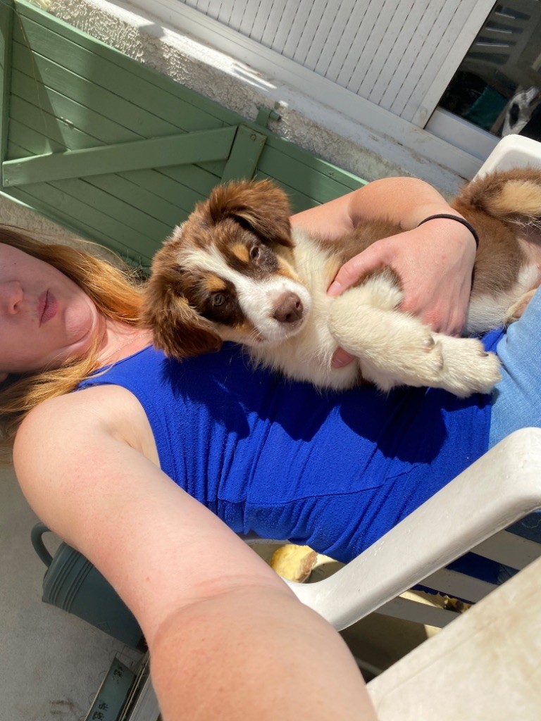 Publication : Du Domaine Des Belles Aubois 