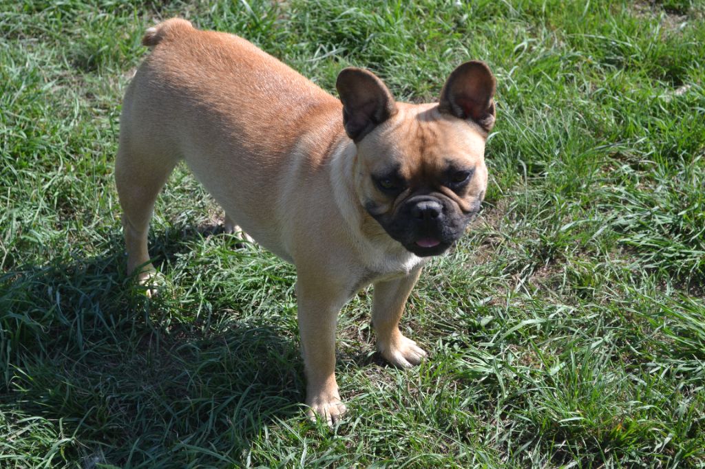 Publication : Des Gardiennes De La Vallée Du Cher 