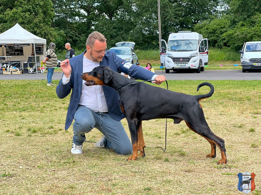 Publication : (Sans Affixe)