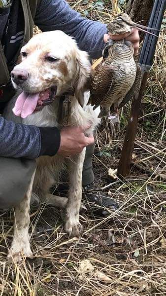 Publication : Des Bruyères Murettes 