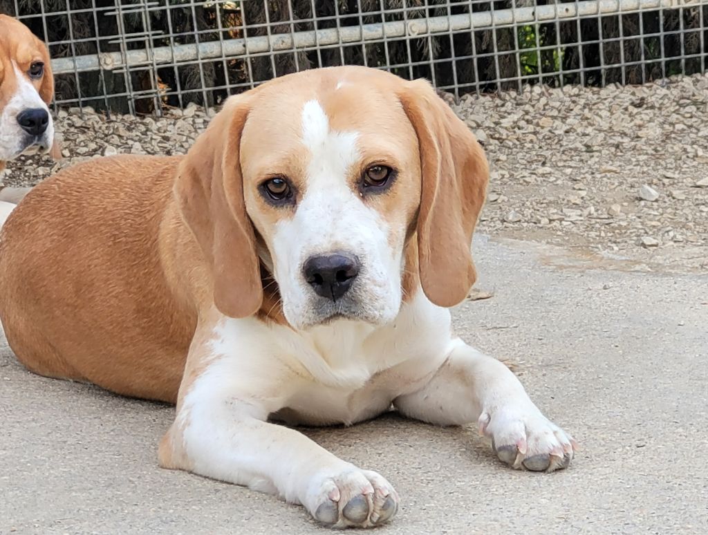 Publication : de la vallée de l'empereur 