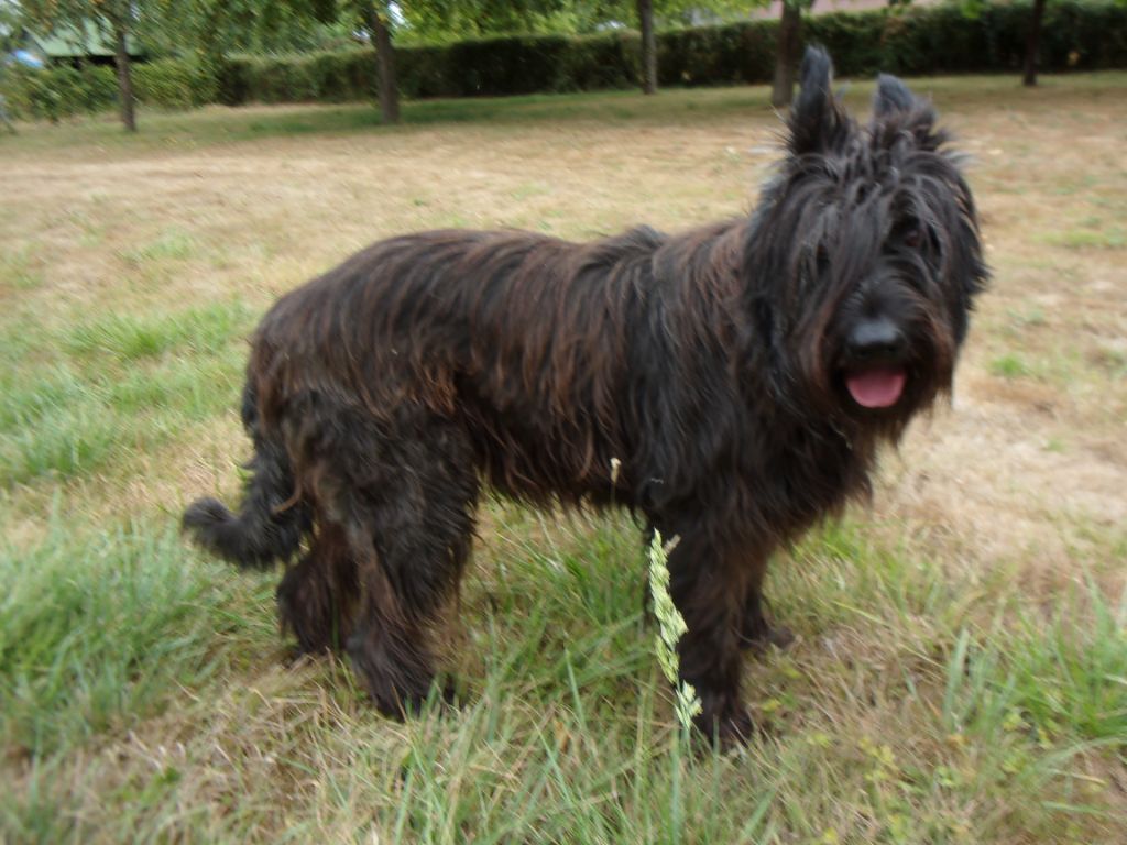 Publication : De La Sente Des Archers Auteur : florence andrieu