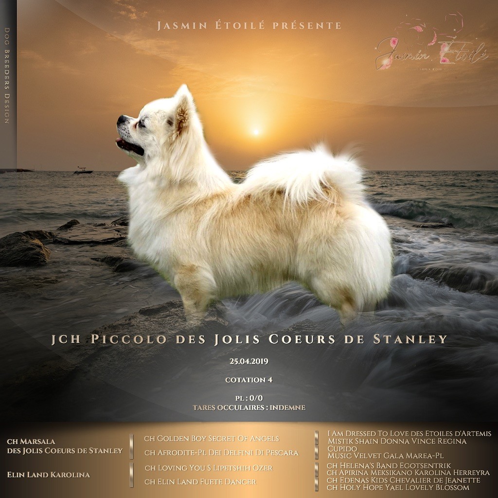 Publication : des jolis coeurs de Stanley Auteur : Jasmin étoilé