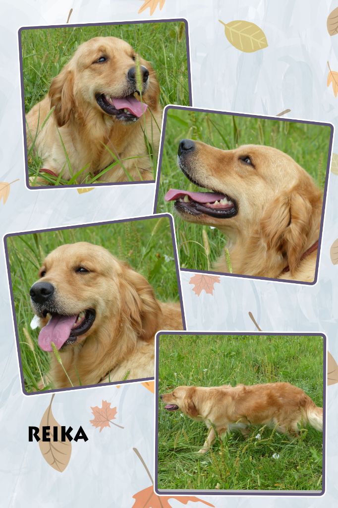 Publication : des Rives de la Bidouze Auteur : FILATREAU VIVIANE