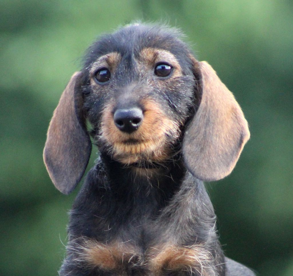 Publication : de L' Air Salin Auteur : C Fréville