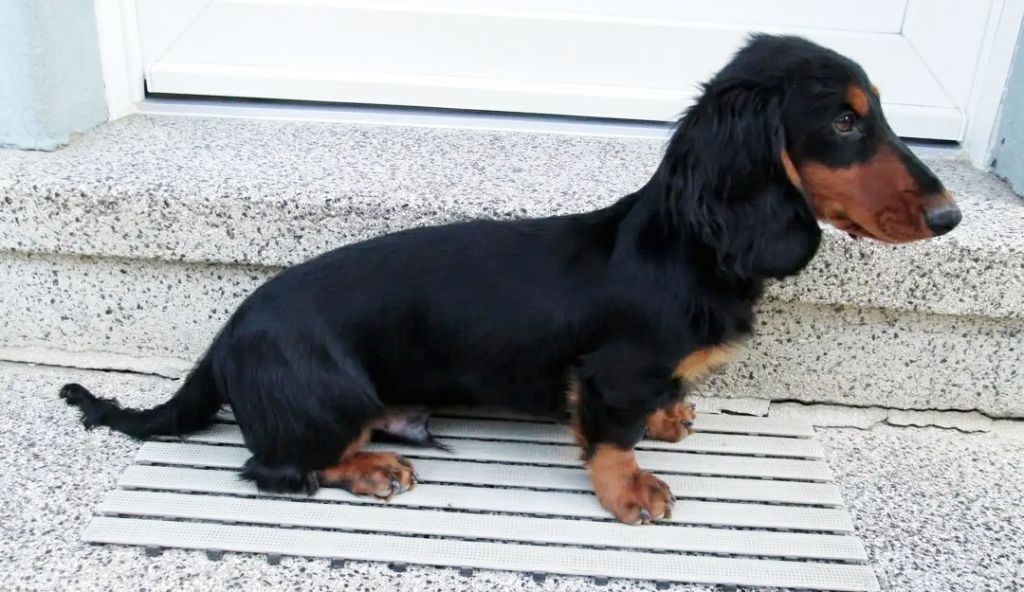 Publication : du domaine de Locus