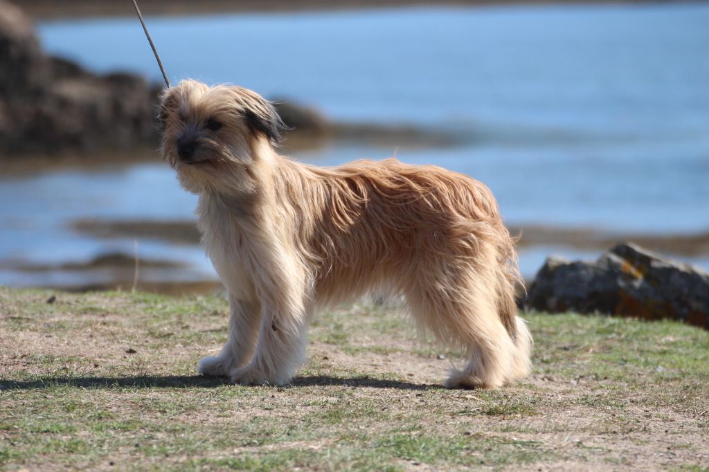 Publication : Du Rêve à La Réalité 