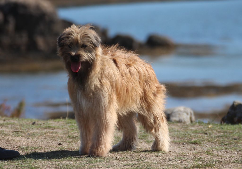 Publication : Du Rêve à La Réalité 