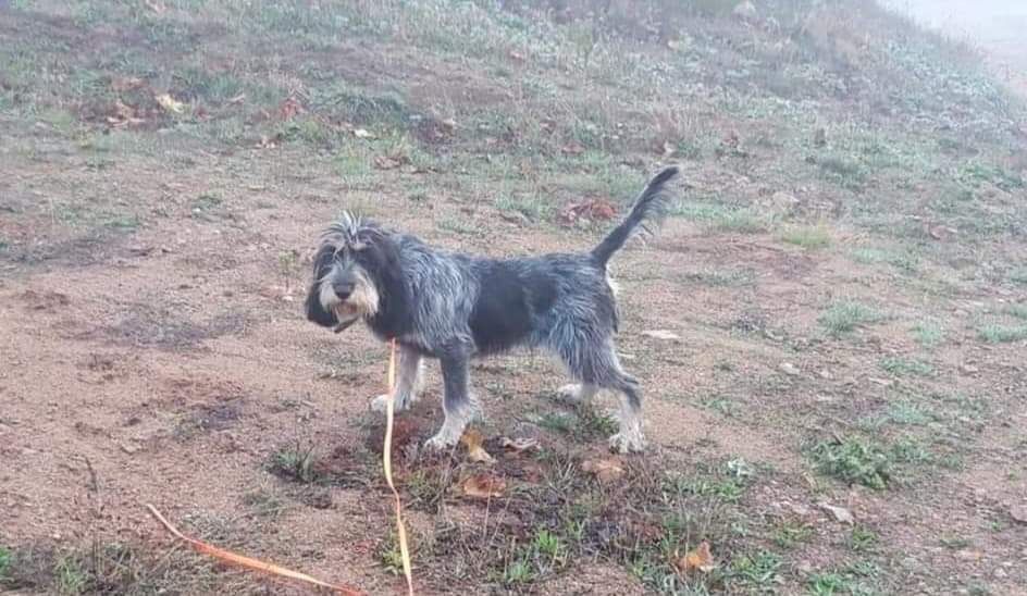 Publication : Des Carrières Gauloises 